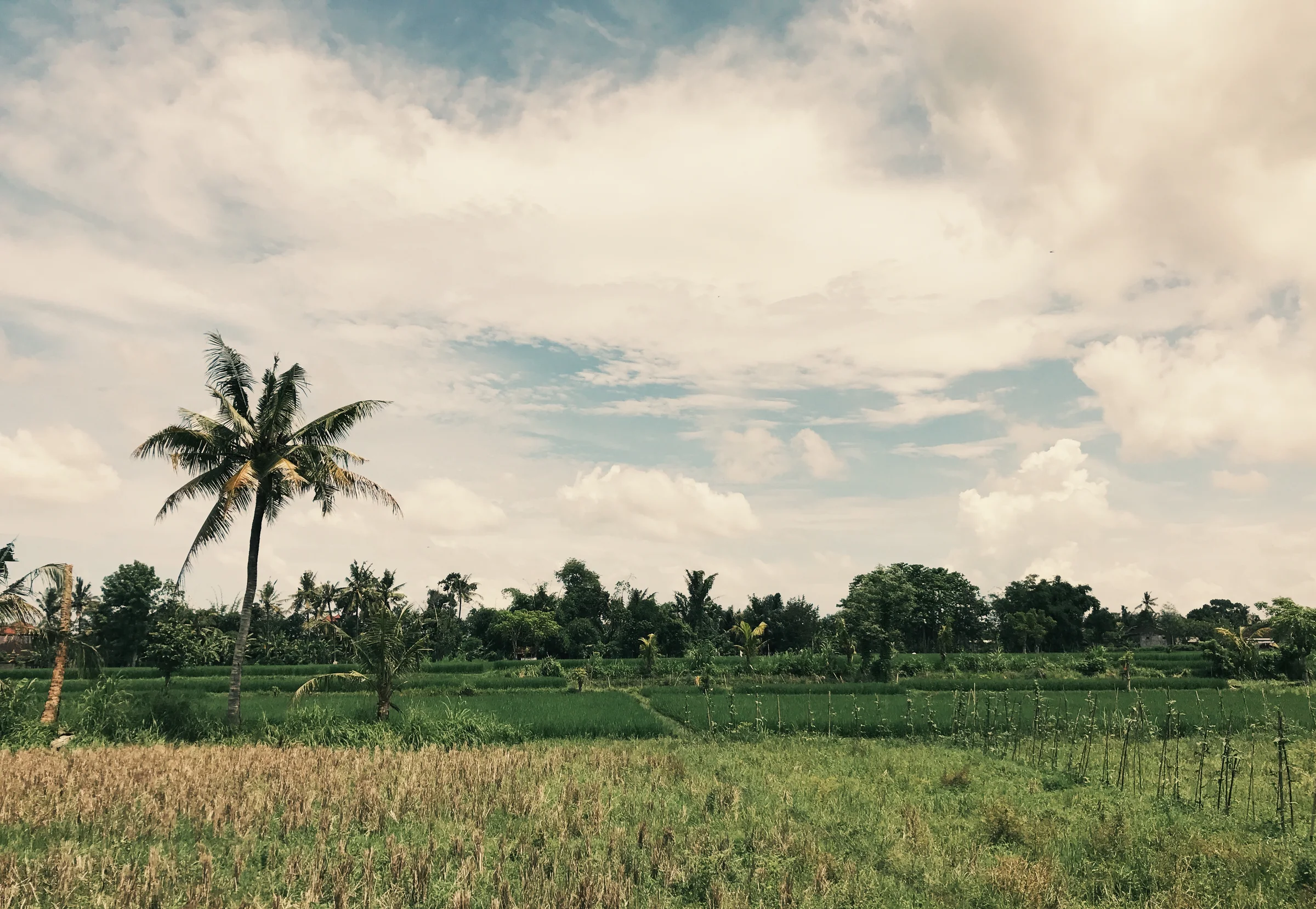 Photo from Keliki, Bali, Indonesia