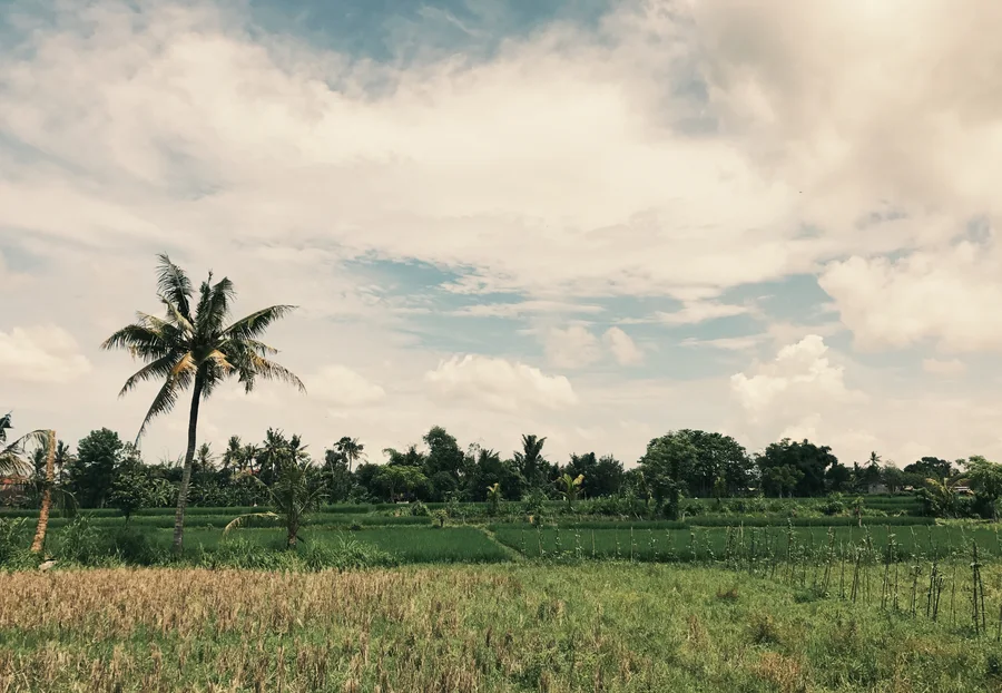 Photo from Keliki, Bali, Indonesia