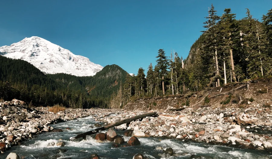 Photo from Mount Rainier National Park, WA