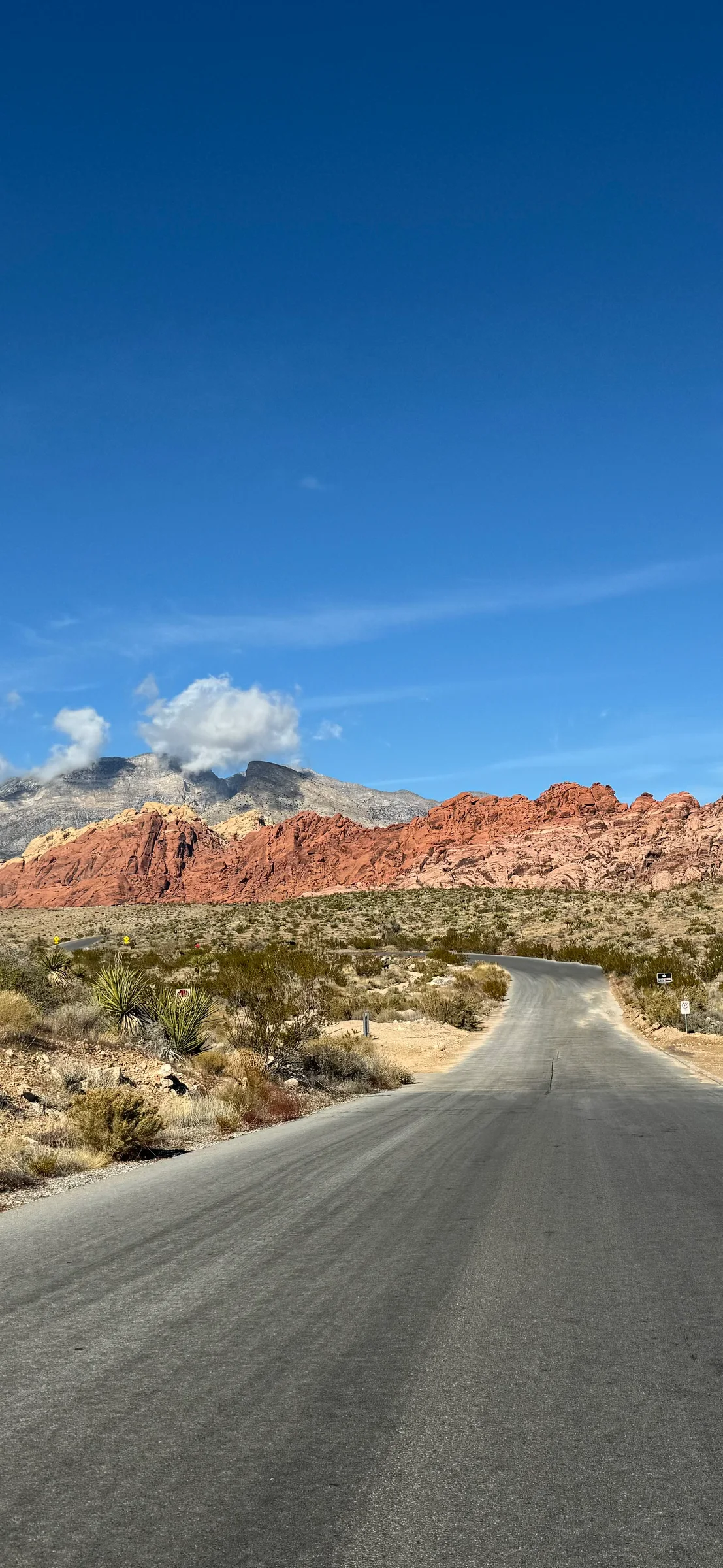 Photo from Red Rock Canyon / Las Vegas, NV