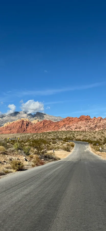 Photo from Red Rock Canyon / Las Vegas, NV